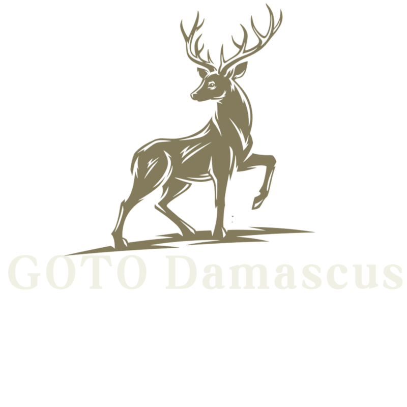 Goto Damascus